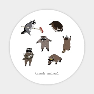 Trash animal Magnet